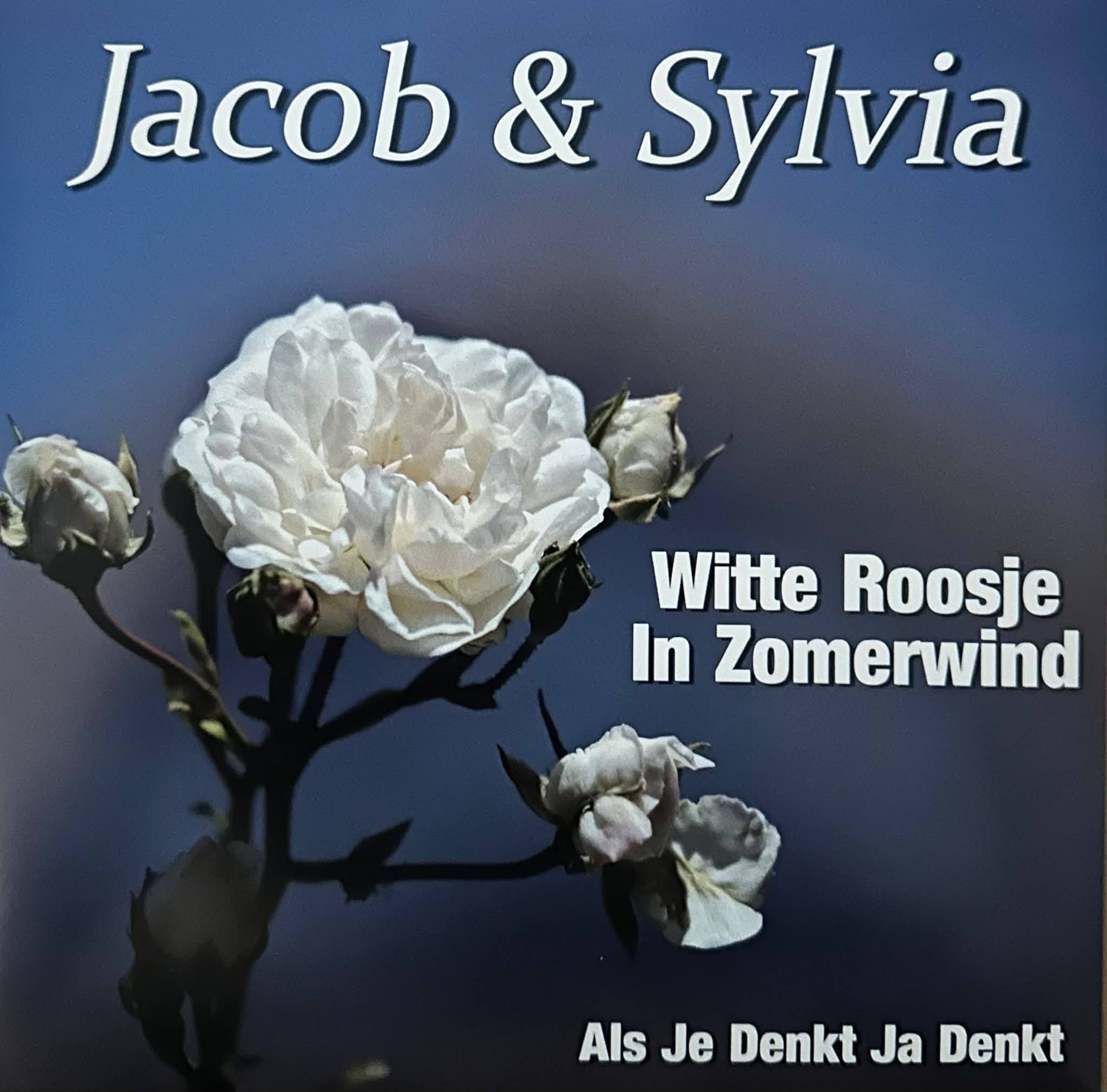 Powerschijf